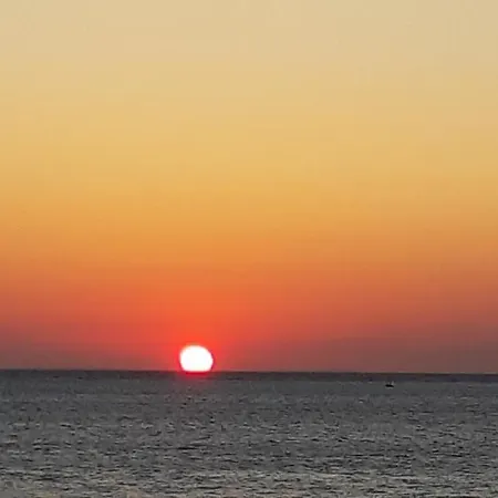 Dinas * 피소리바디