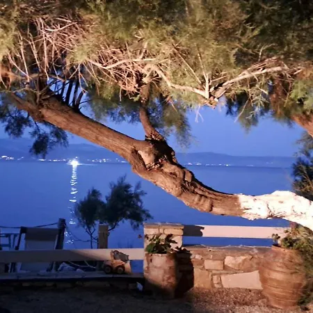 Dinas Διαμέρισμα