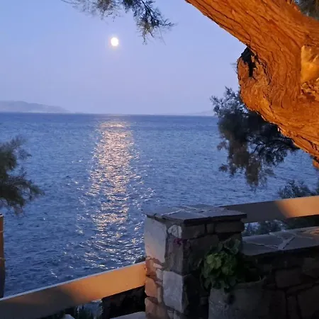 Dinas * Πίσω Λιβάδι