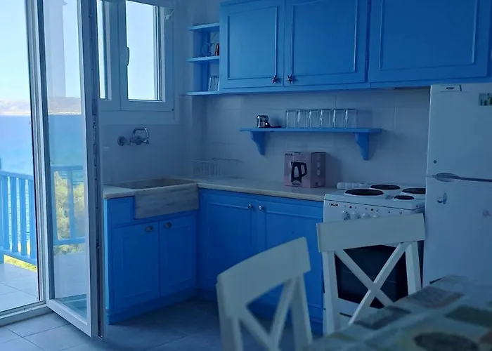 Dinas * 피소리바디